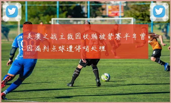 美澳之战主裁因收贿被禁赛半年曾因漏判点球遭停哨处理