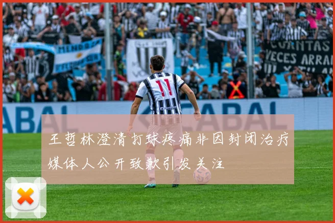 王哲林澄清打球疼痛非因封闭治疗媒体人公开致歉引发关注