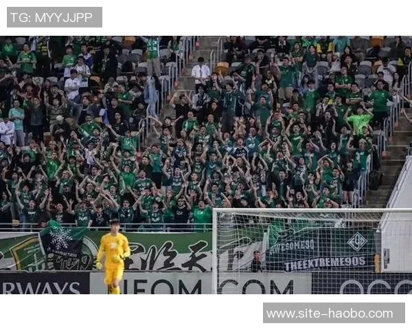 国安逆袭大埔法比奥精彩一停一射连追三球实现反超胜利