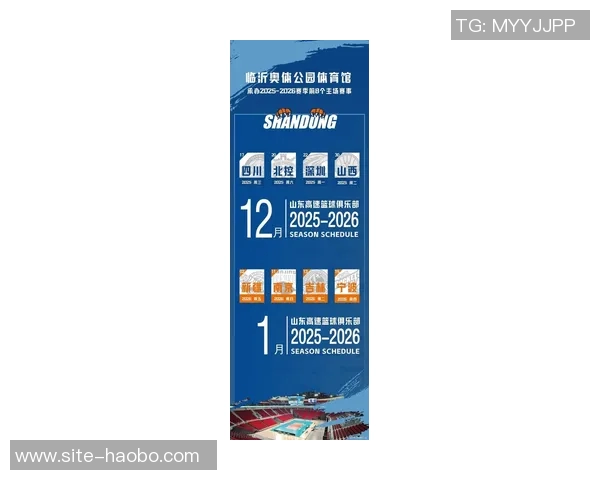 山东蜜獾新赛季注册名单正式公布双主场模式引发期待与关注